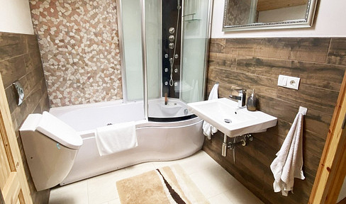 Vacation apartment - fully furnished - apartment in Speyer - air-conditioned, whirlpool, underground parking