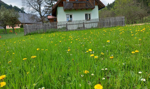 Kleines Bauernhaus mit Potential