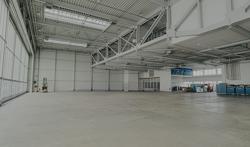 Exklusiver Hangar mit Flugfeldzugang – Werkstatt, Büro & Vorfeld | Neuhausen ob Eck
