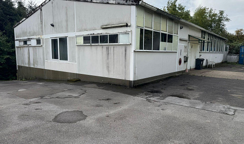 WORKSHOP HALL 350 SQM / 600 SQM AREA | WAREHOUSE CAR TRADE