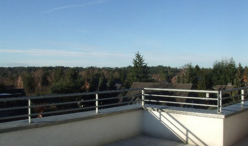 PENTHOUSE apartment with 3 rooms in the center of Buchholz