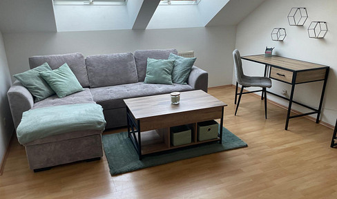 Vollmöblierte 3 Zimmer Wohnung im Zentrum von Linz (perfekt auch als WG)