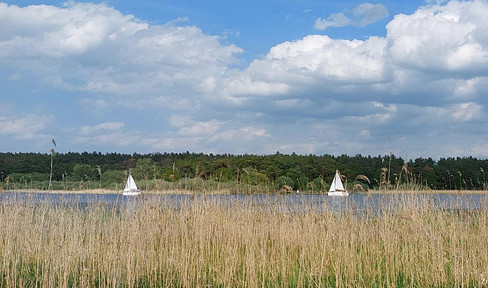 Park-like plot with B-plan on the shore of the Hohennauener See, within walking distance of the Semlin golf resort