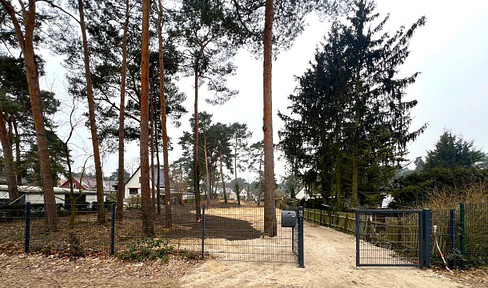 Provisionsfrei: 736 m² in Zernsdorf – freigeräumtes Baugrundstück in 1. Reihe