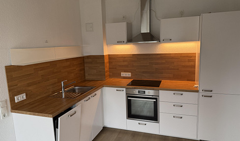 1-Zimmer Appartment mit EBK