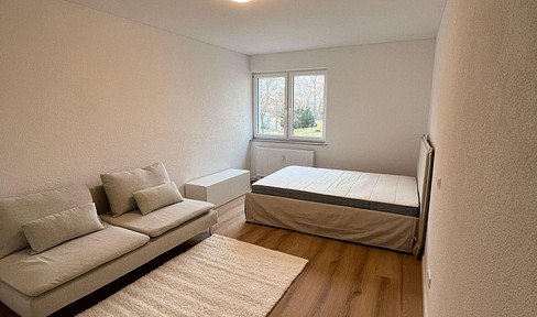 Modern 1-room apartment with kitchen, renovated, furnished.