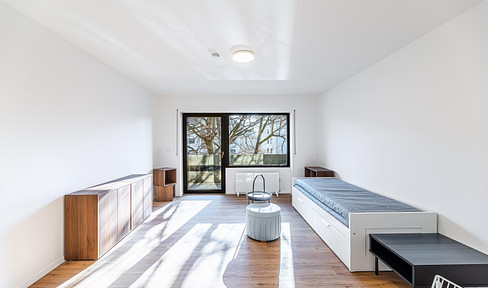 Beautiful & newly renovated!