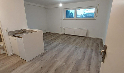 Erstbezug nach Renovierung: Modernes Souterrain-Appartement in Uninähe