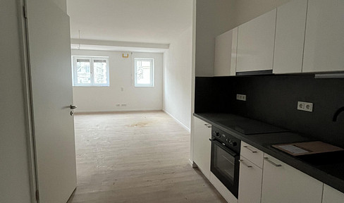 *One month of free rent.* First occupancy in a new building. 1-room apartment with fitted kitchen. E1-00-06.