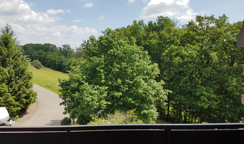 Cozy 1-room apartment in Altensteig with janitor service, kitchen, sauna, cellar, balcony