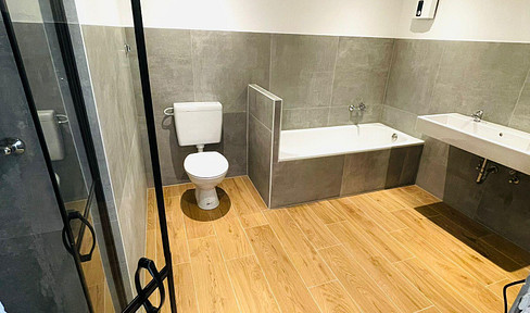 Newly renovated 2-room apartment with balcony