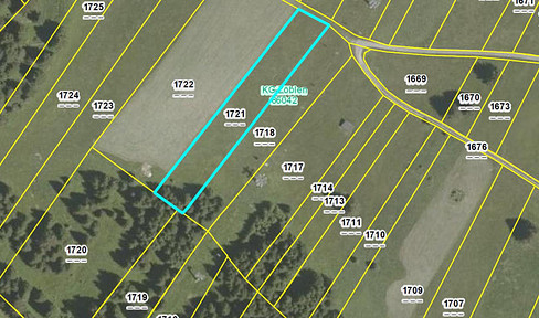 Yield property & increase in value: meadow in Tyrol, can be leased to ski resort