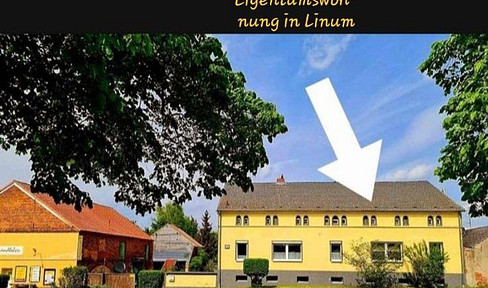 Large semi-detached house / condominium