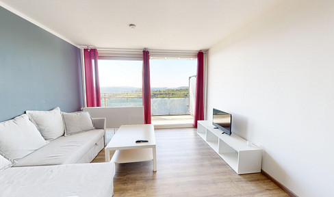 2-room apartments with large terrace / rental period from 1 month