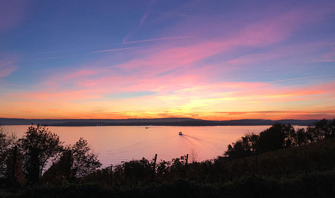 Breathtaking lake view over the vineyards - 3-room apartment