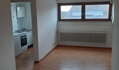Cozy 1.5-room apartment - just 15 minutes away from the "Euro" station via the Straba tram.