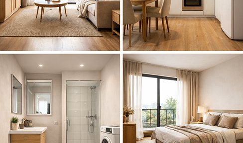 Letting Friedrichstrasse Furtwangen