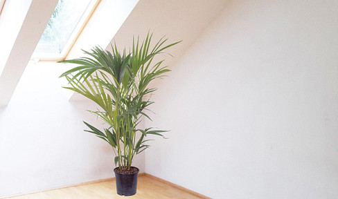 Helle und ruhige Wohnung Graz an der Mur