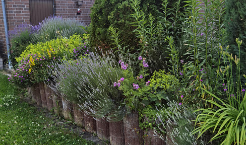 Single-family house country house style