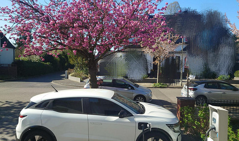 renovated dream house with beautiful garden, pool and party room