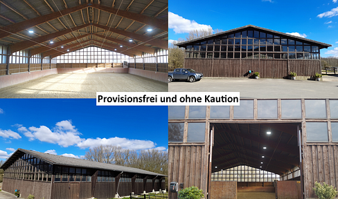 Lichtdurchflutete Lagerhalle *PROVIOSIONSFREI, OHNE KAUTION, AUCH TEILFLÄCHENVERMIETUNG*