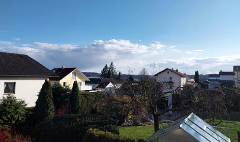 Large residential building in the Baden-Württemberg region, featuring a spacious garden.