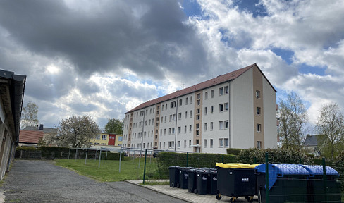 Teilmöblierte 2-Raumwohnung in Grimma (46qm; Einbauküche; Waschmaschine; teilmöbliert)