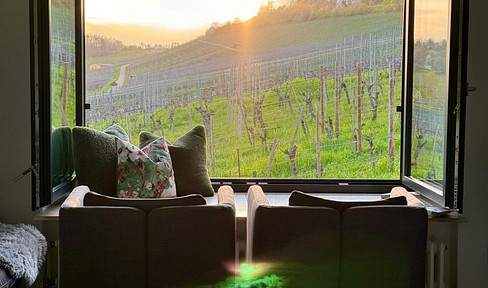 Vineyard villa with panoramic views.