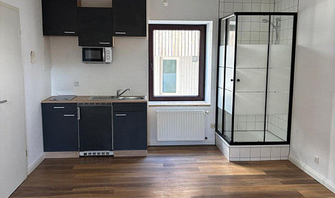 €545 all-inclusive: Renovated 1-bedroom apartment - Ground floor - 2 minutes walk to the city center.