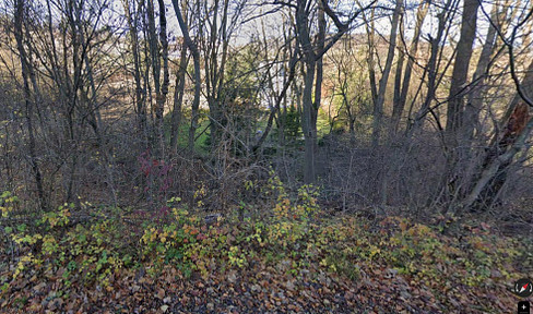 Klosterneuburg: 1500m² forest (Kritzendorf)