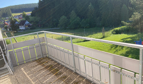 No commission! No equity! Bubenbach - Beautiful 3-room ground floor apartment for sale (4) (ID142)