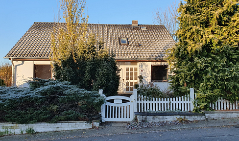 Heidbergsee - Large detached house with lots of potential