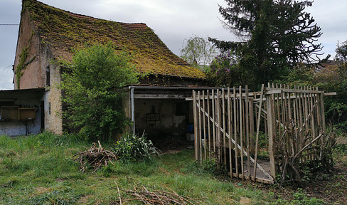 Large, flat, fully developed plot in a prime location with valuable old stock