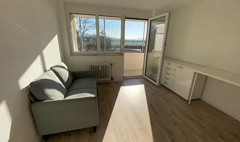 Modern, furnished 1-room apartment with balcony in Denzlingen