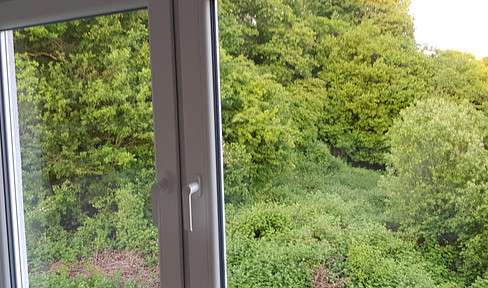 NATURPUR sonnige 3 Zi.-DG-Whg an max. 1 - 2 Personen & Nichtraucher zum 1.3.26