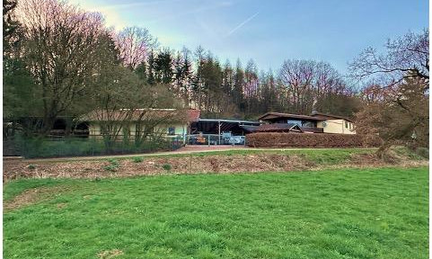 Repräsentatives Gestüt mit Wohnhaus im Nordsaarland