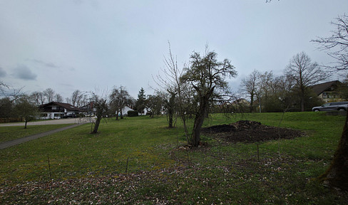 Grosses Grundstück mit Obstbaumbestand, Zentrale Ortsrandlage