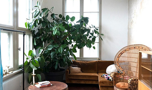 Helles Gewerbe, Büro oder Atelier mit 3 Zimmer, Küche und Bad