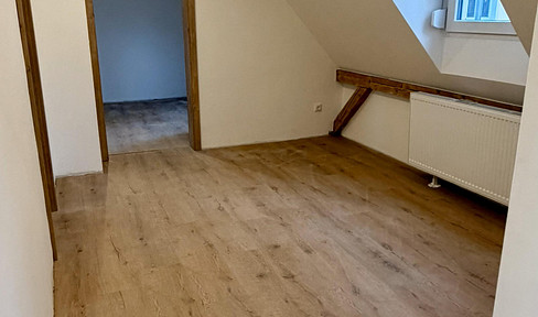 Erstbezug - Renovierte 4-Zimmer Wohnung am Rechenberg direkt im Grünen