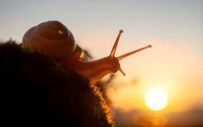 Großzügiger Wohntraum über den Dächern von Angermünde – 122 qm für Familien und Homeoffice