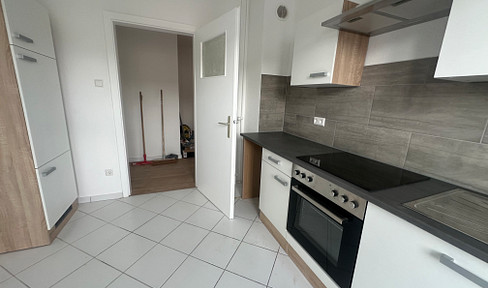 Bright, newly renovated 2-room apartment in a prime location in Mannheim.