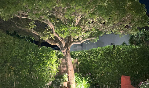 Detached house, 165.75 m², energy efficiency class B, excellent condition, features, location, and transport links, very well maintained.