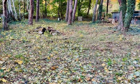 Charming bungalow with 2.5 rooms in Königs Wusterhausen