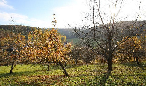 TV 25.03.-EFH BAULAND-3398qm-TEILBAR, ruhige Süd-West Lage am Wald, Erschlossen, TEILUNGSVERSTG.