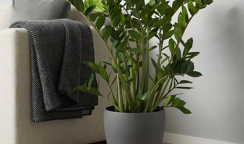 2-Zimmer Wohnung in München