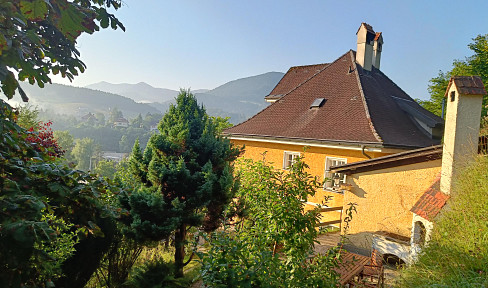 Charming Schönbrunn-style villa with granny apartment for rent
