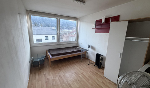 Small apartment for single person Mitterweg 87 (Top 85)