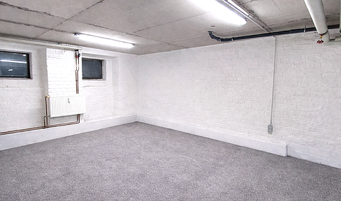 Basement office-heated hobby/commercial space with WC