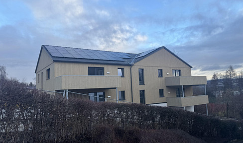 Spacious 4-room attic apartment