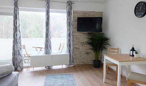 30 square meter apartment with balcony – including kitchen.